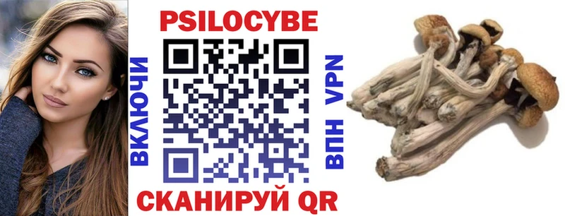 Псилоцибиновые грибы прущие грибы  цена   Находка 