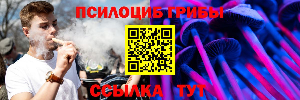 Псилоцибиновые грибы ЛСД Находка